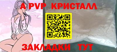 шишки Дубна