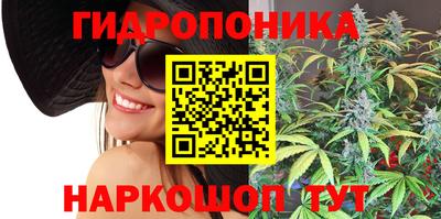 молекула духа Донецк