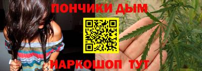 шишки Дубна