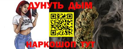 шишки Дубна