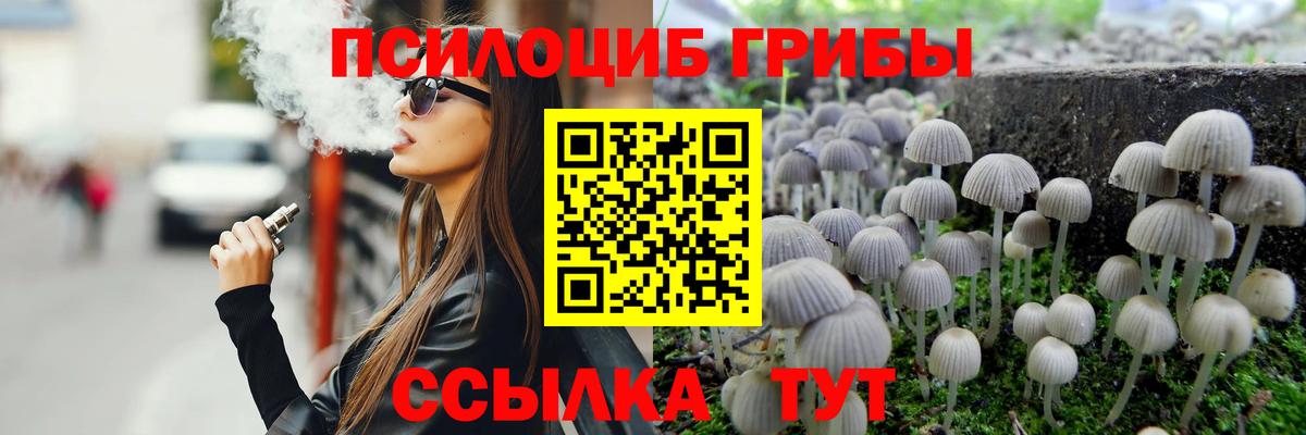 Галлюциногенные грибы GOLDEN TEACHER  Псилоцибиновые грибы GOLDEN TEACHER  Вход с VPN  Орск 